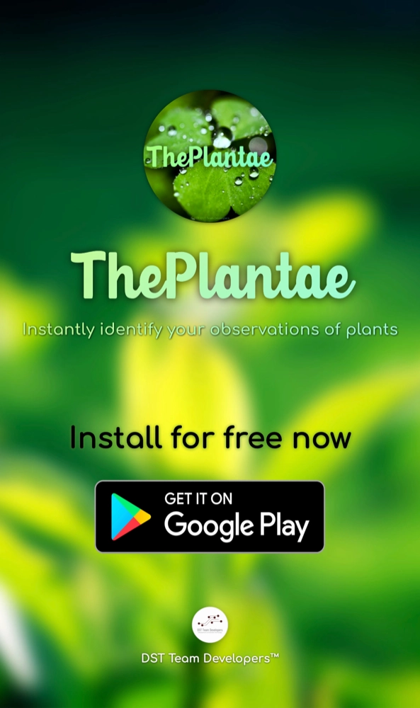 ThePlantae_screenshot.001.jpeg